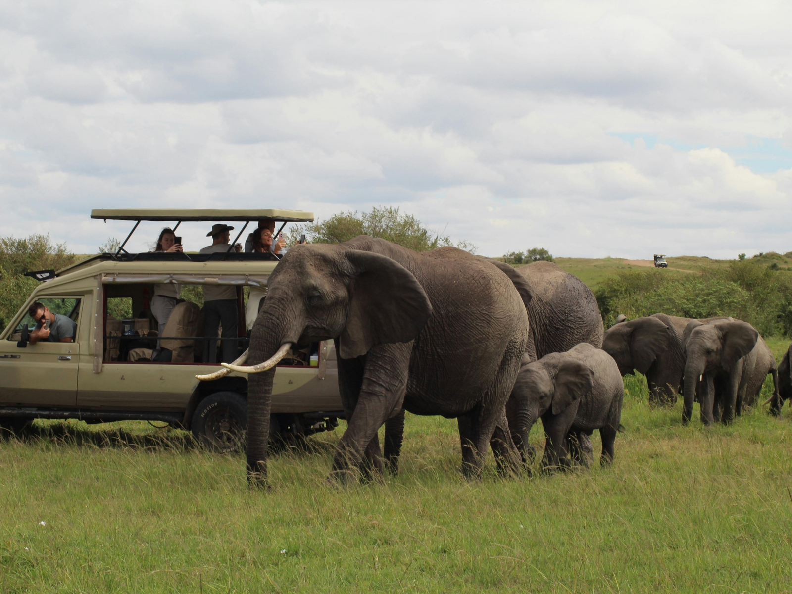 Wildlife landscape in the Masai Mara