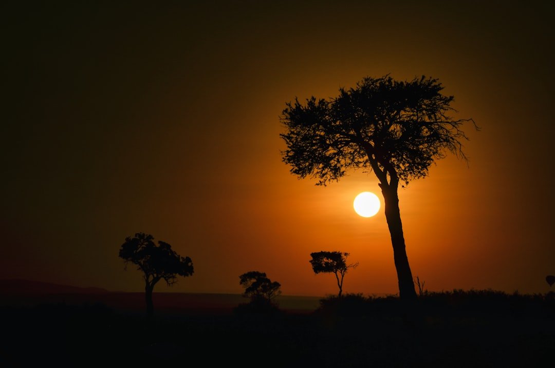 Masai Mara National Reserve landscape in Kenya for first-time safari planning guide