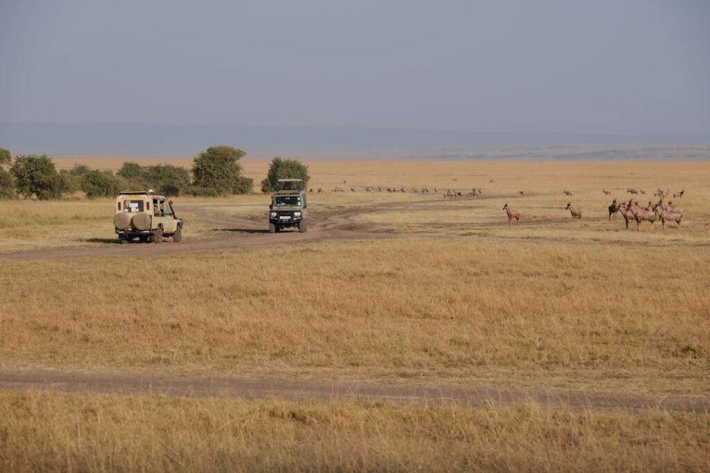 Masai Mara Weather by Month: Temperatures, Rain, Dust & What to Wear