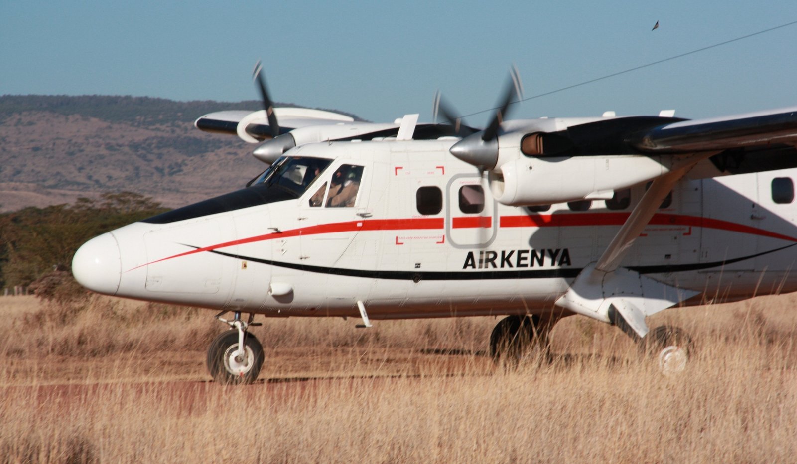 Bush flight aircraft for the Masai Mara