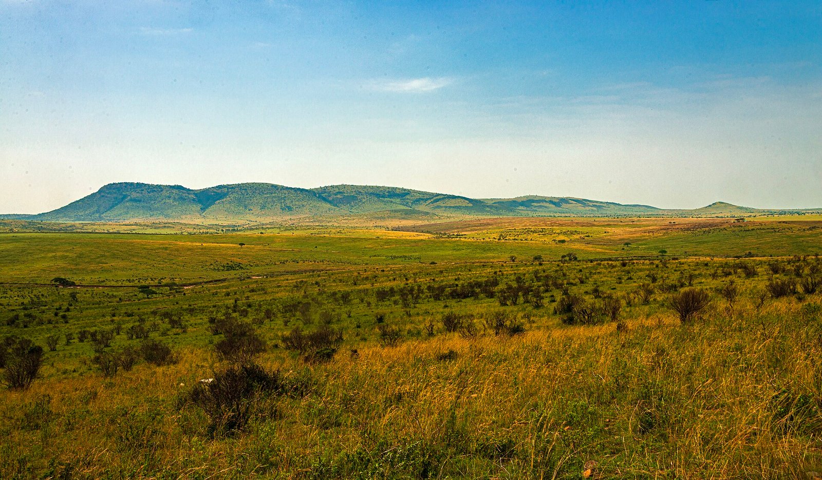 Sand River valley on the Maasai Mara–Serengeti border
